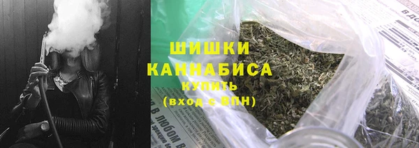 прущие грибы Абинск