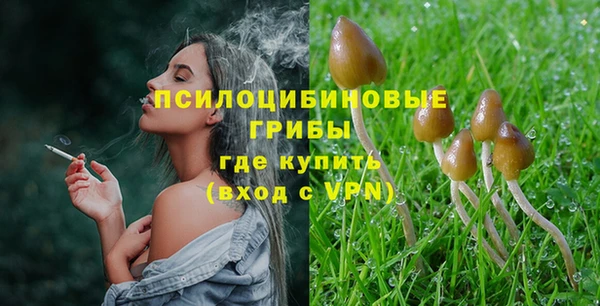 прущие грибы Абинск