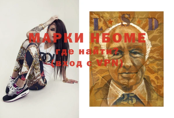 прущие грибы Абинск