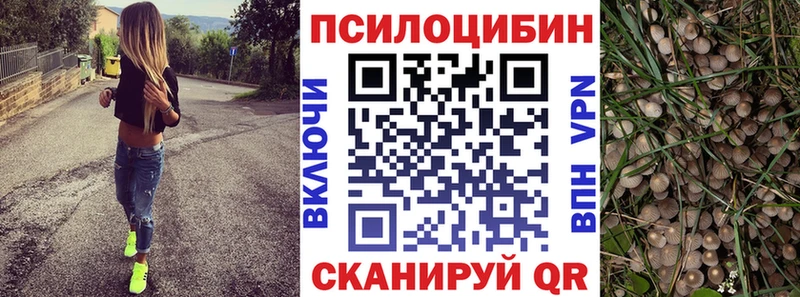 сколько стоит OMG зеркало Галлюциногенные грибы ЛСД Брюховецкая